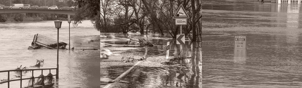 Restoration Services by Jaspro Environmental